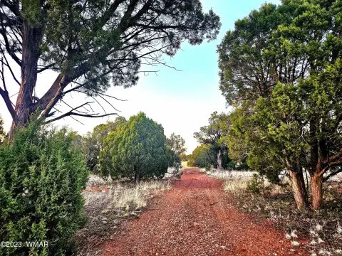 Acreage Lot Near National Forest