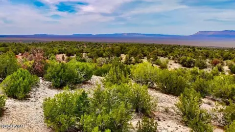 Heavily Treed Land with Views