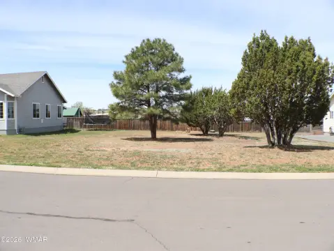 Residential Land in Show Low
