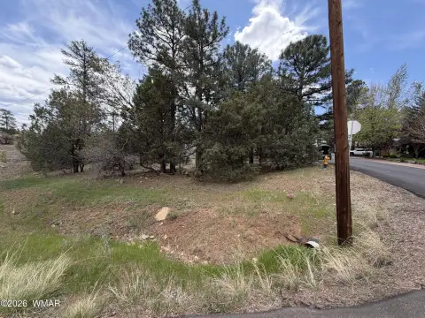 Residential Land in Show Low