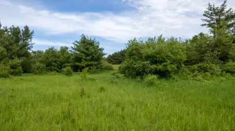 Recreation Land Near State Land