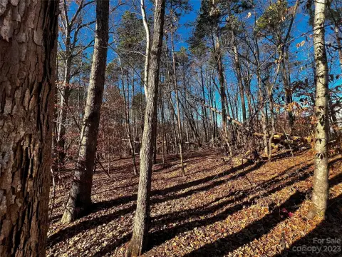 Davidson, NC Land Opportunity