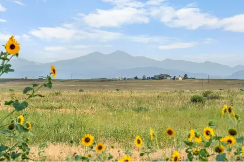 4 Acres Open Space Land