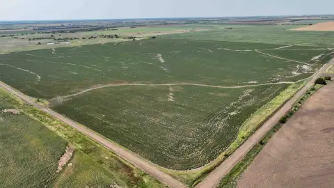 Class II Cropland Tract