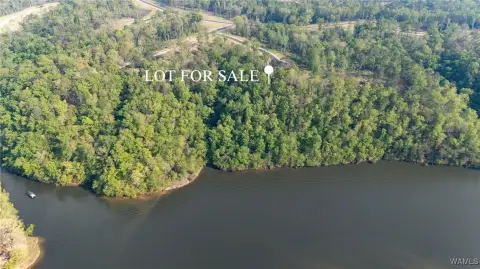 Lakefront Land in Tuscaloosa, AL