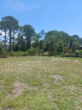 Buildable Lot in Edgewater, FL