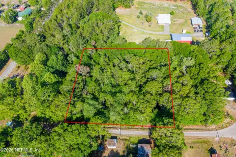 Wooded Land in Starke, Florida