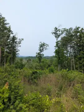 Waterfront Land Parcel