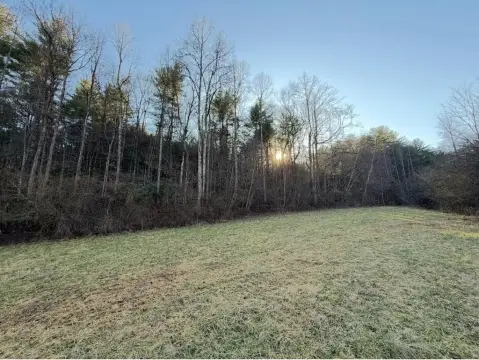 Unrestricted Recreational Land with Timber