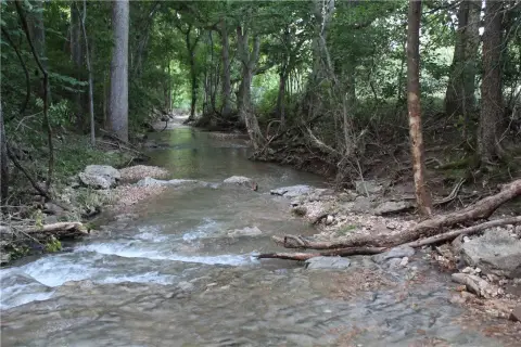 Hunting and Recreation Land