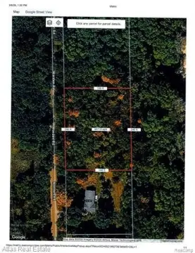 Wooded Parcel in Groveland Township