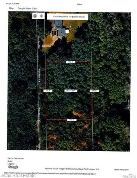 Wooded Land Parcel in Groveland
