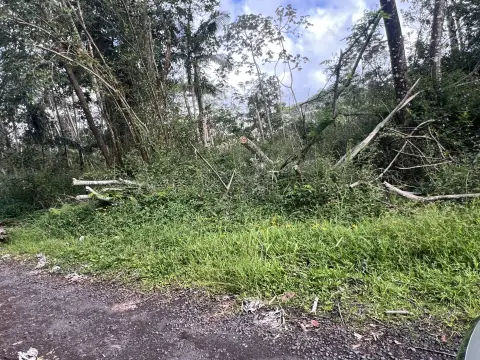 Wooded Residential Lot