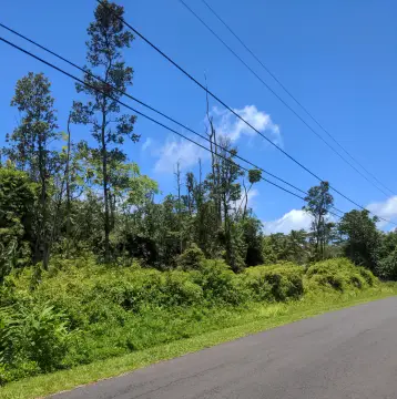 Wooded Residential Development Lot