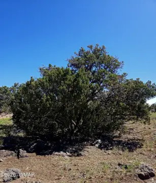 Silver Lake Estates Land Parcel