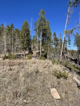 Recreation Land Homesite Opportunity