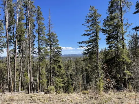 Recreation Land Homesite Opportunity