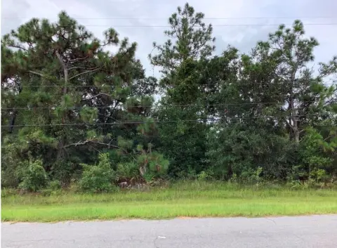Wedgefield Cape Orlando Estates Land