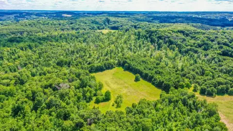 Managed Hunting Land with Timber
