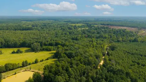 Hunting Land with Ponds