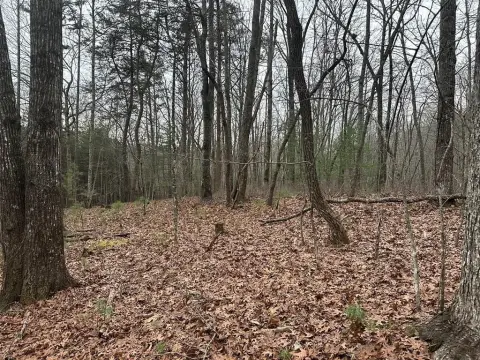 Unrestricted Mountain View Land