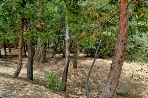 Lake Arrowhead Lot with Dock