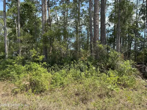 Lakefront Lot on Lake Virginia