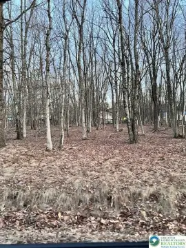 Land in Indian Mountain Lakes