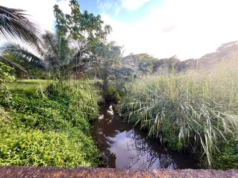 Agricultural Land in Kapaa, HI