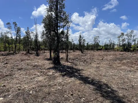 Keaau Acre Lot Ready