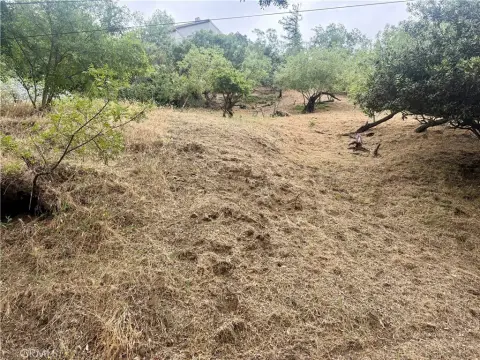 Hillside Lot in Glassell Park