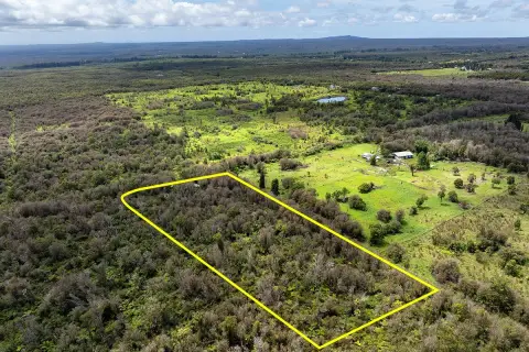 Wooded Mountain View Land Parcel