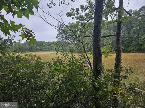 Residential Land in Lexington Park