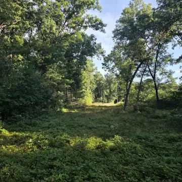 Wooded Recreational Land