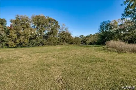 Tuscaloosa Land with Development Potential