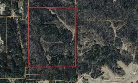 Hunting Land with Unlogged Timber