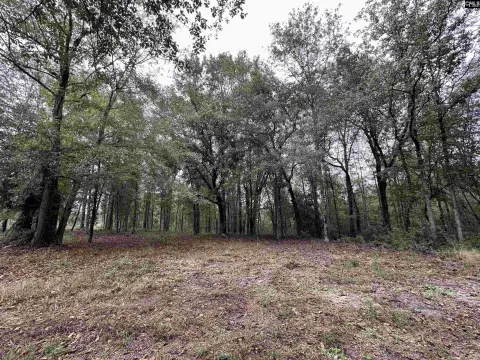 Secluded Acreage in Lexington County