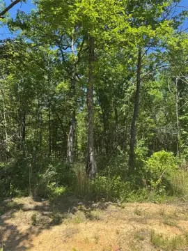 Build-Ready Mountain Cabin Lot
