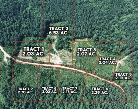 Land for Sale in Vossburg