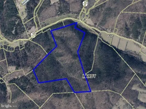 Wooded Hunting Land