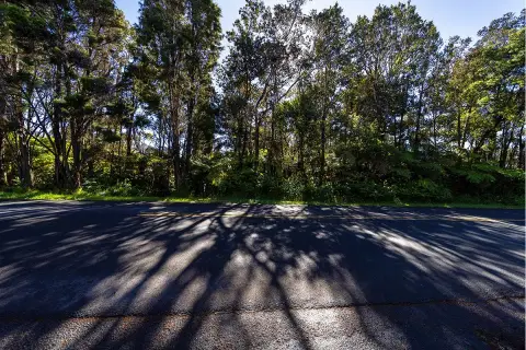 Vacant Land Lot for Custom Home