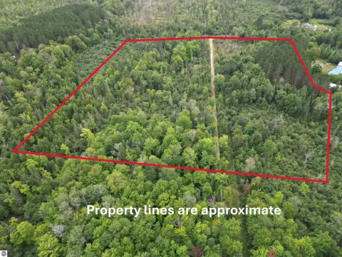10-Acre Wooded Land Parcel