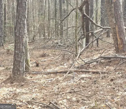 Land with Deeded Lake Access