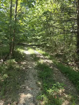 Surveyed Recreation Land