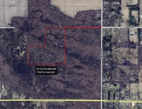 Wooded Hunting/Recreation Land Parcel