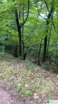 Recreational Vacant Land Parcel