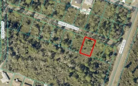 Land in Quiet Ocklawaha Neighborhood