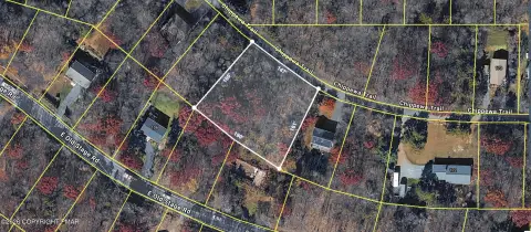 Expansive Lot in Mt. Pocahontas