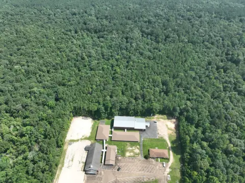 Forested Hunting Land with Road Access