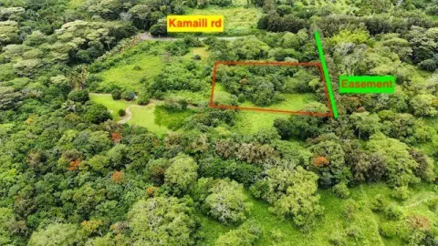 Agricultural Land Parcel